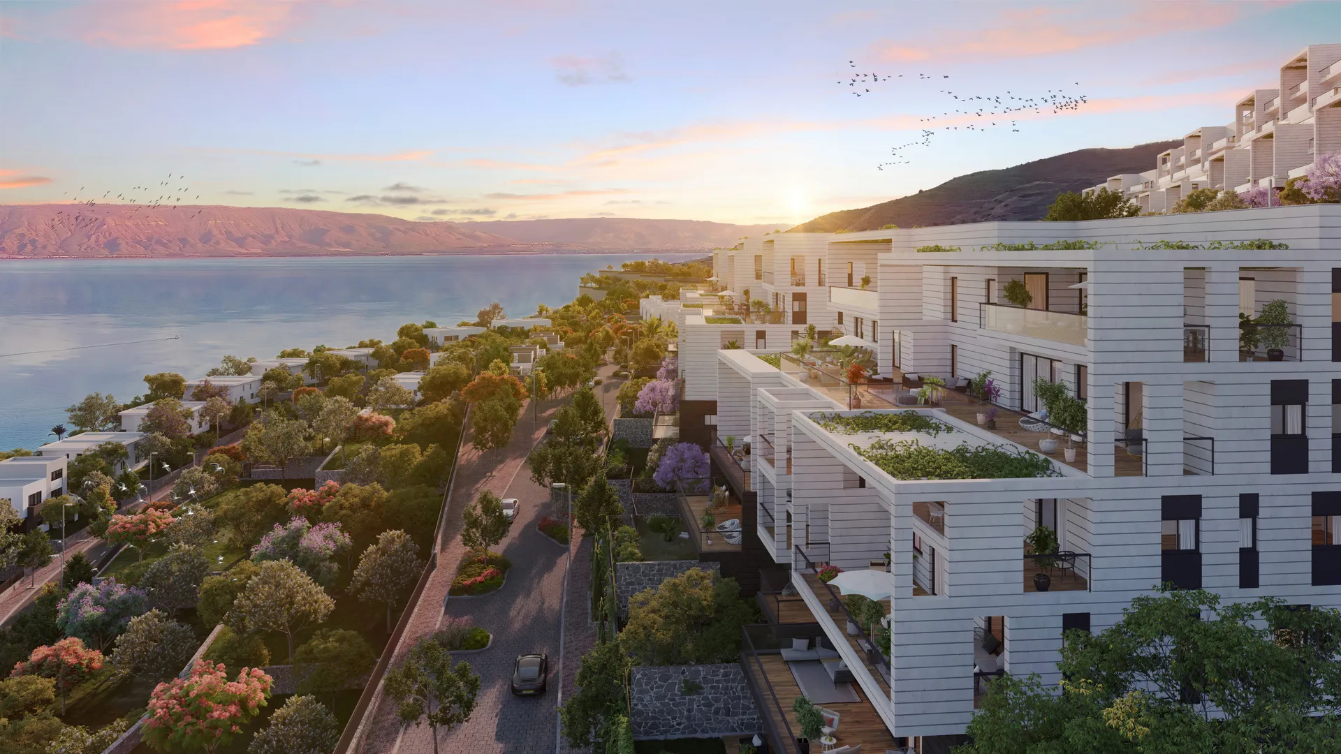 C21_dawn-final- KAVA