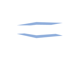 Developer